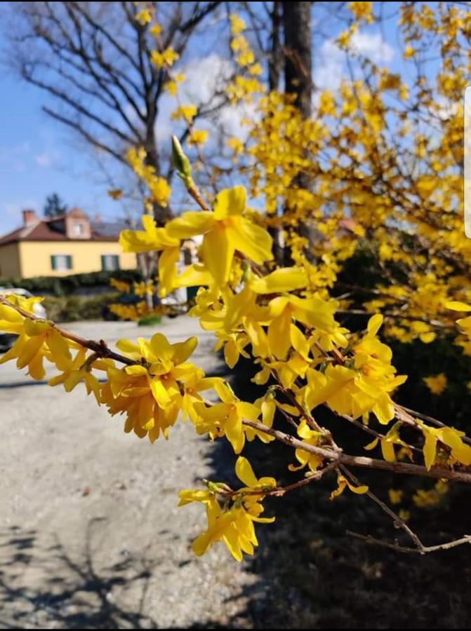 Bed&Breakfast Villa Camilla Ivrea Exterior foto